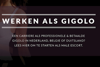 https://www.vanderlindemedia.nl/jobs/werken-als-gigolo/
